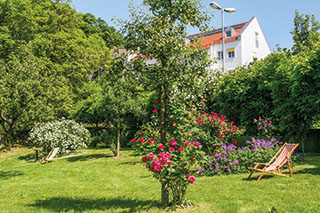 Blühendes Kleinod: der Rosengarten in Trostberg