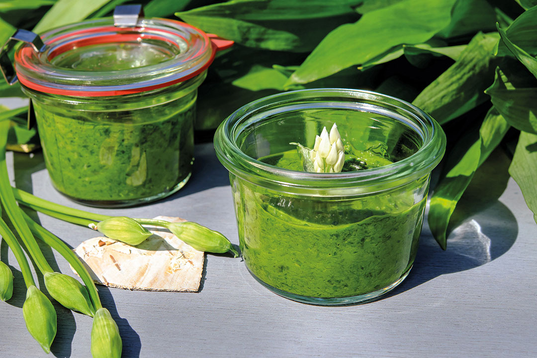 bumberlgsund-Bärlauchpesto bumberlgsund-Bärlauchpesto