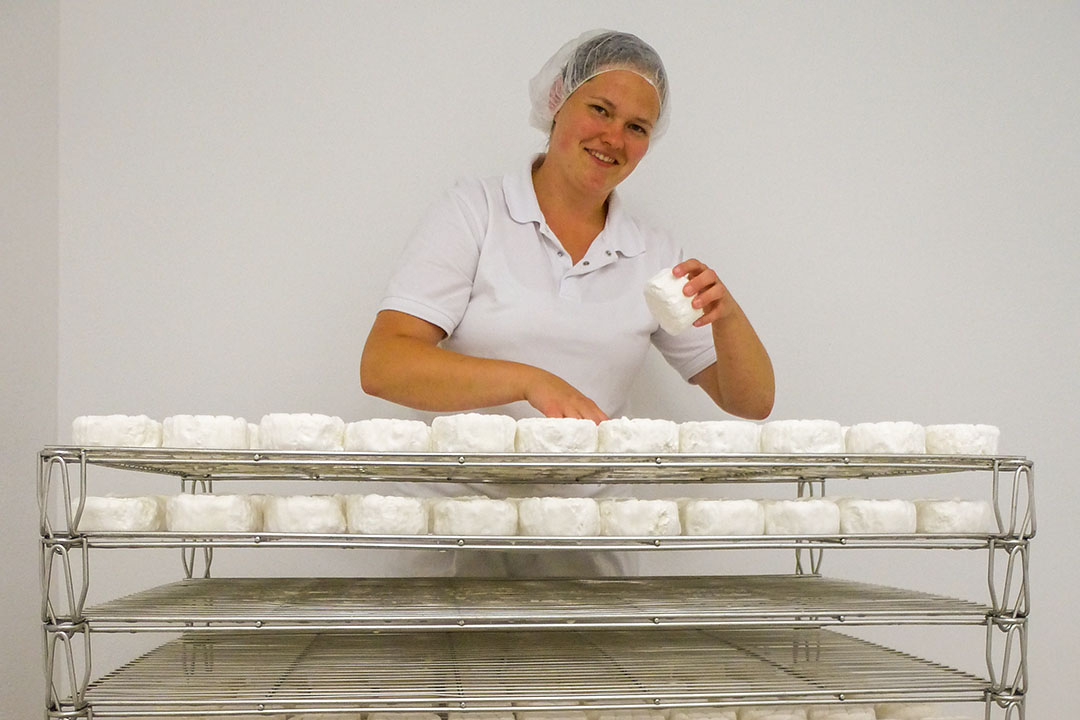 Der Camembert muss regelmäßig gewendet werden – eine der Aufgaben von Barbara Schubert.